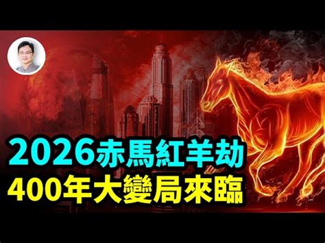 生肖屬馬 五行|生肖屬馬人的五行與財運